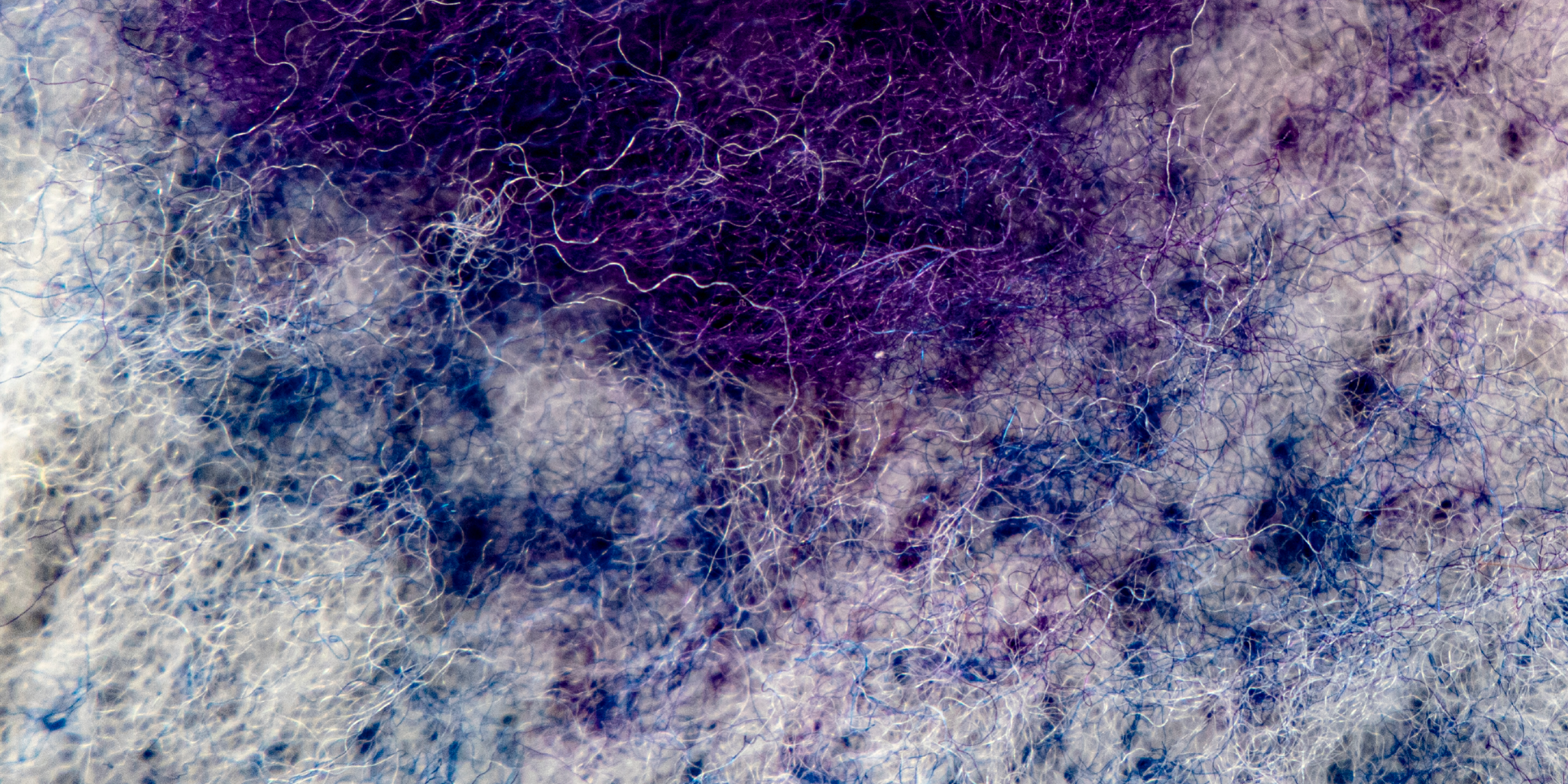 Irina-choice4-180×120-web7